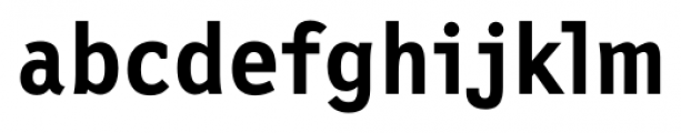 New Letter Gothic Bold Font LOWERCASE