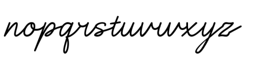 Neatly Script Font LOWERCASE