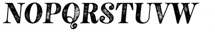 Neato Serif Rough Italic Font UPPERCASE