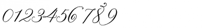 Nelly Script Flourish Font OTHER CHARS