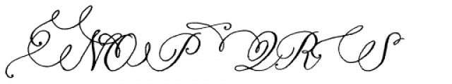 Nelly Script Flourish Font UPPERCASE