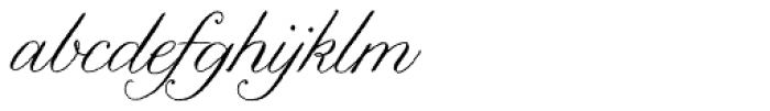 Nelly Script Flourish Font LOWERCASE