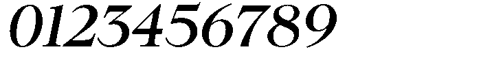 Neo Forma Serif Bold Italic Font OTHER CHARS