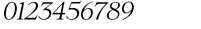 Neo Forma Serif Italic Font OTHER CHARS