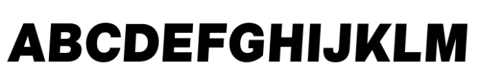 Neo Grotesk Black Oblique Font UPPERCASE