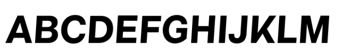 Neo Grotesk Bold Oblique Font UPPERCASE
