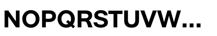 Neo Grotesk Bold Font UPPERCASE
