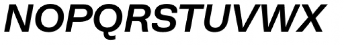 Neogrotesk Essential Alt Bold Italic Font UPPERCASE