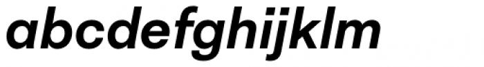 Neogrotesk Essential Alt Bold Italic Font LOWERCASE