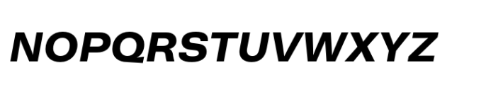 Neogrotesk Small Caps Bold Italic Font LOWERCASE