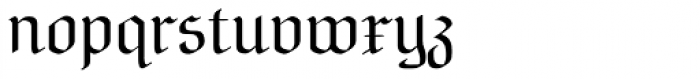 NeuAltisch Regular Font LOWERCASE