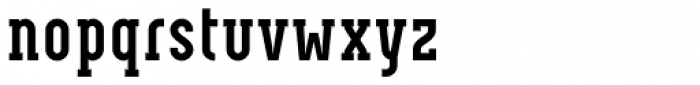 Neubau Serif Bold Font LOWERCASE