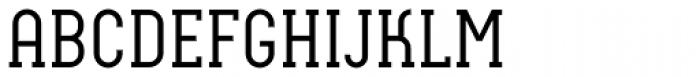 Neubau Serif Font UPPERCASE