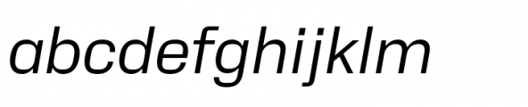 Neue Alter Italic Font LOWERCASE