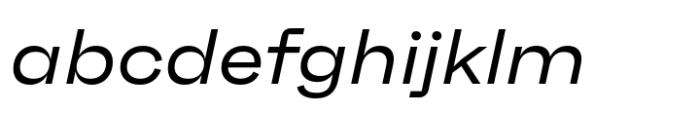 Neue Faktum Extended Regular Italic FONT