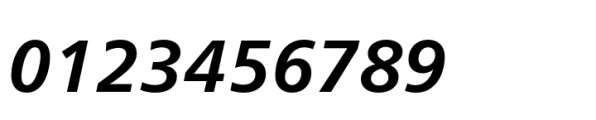 Neue Frutiger Paneuropean Bold Italic Font OTHER CHARS