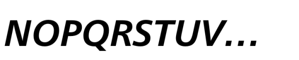 Neue Frutiger Paneuropean Bold Italic Font UPPERCASE