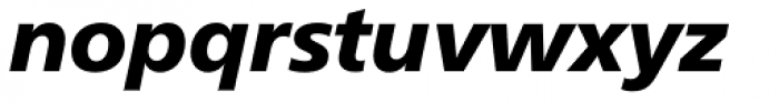 Neue Frutiger Paneuropean W1G Black Italic Font LOWERCASE