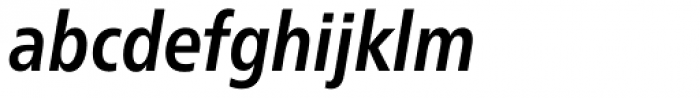 Neue Frutiger Paneuropean W1G Condensed Bold Italic Font LOWERCASE