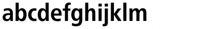 Neue Frutiger Paneuropean W1G Condensed Bold Font LOWERCASE