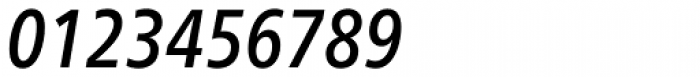 Neue Frutiger Paneuropean W1G Condensed Medium Italic Font OTHER CHARS