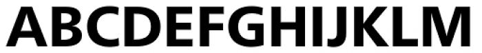Neue Frutiger Paneuropean W1G Heavy Font UPPERCASE