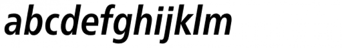 Neue Frutiger Pro Condensed Bold Italic Font LOWERCASE
