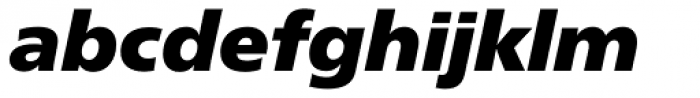 Neue Frutiger Pro ExtraBlack Italic Font LOWERCASE