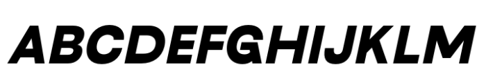 Neue Gothama Bold Oblique Font