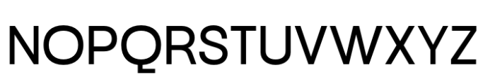 Neue Gothama Regular Font UPPERCASE