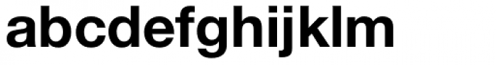 Neue Helvetica Arabic Std Bold Font LOWERCASE