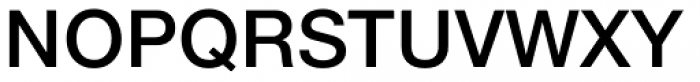 Neue Helvetica eText Std 65 Medium Font UPPERCASE