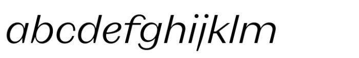 Neue Magnat Text Light Italic FONT