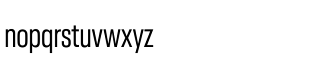 Neue Plak Display Condensed Font LOWERCASE