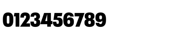Neue Plak Display Narrow XBlack Font OTHER CHARS