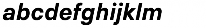 Neue Plak Text Bold Italic Font LOWERCASE