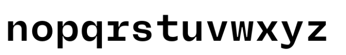 Neue Rational Mono Bold Font LOWERCASE