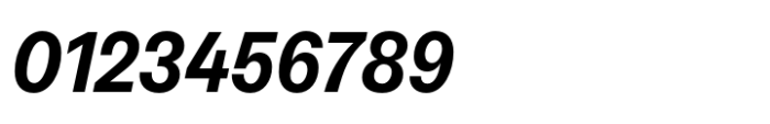 Neue Rational Narrow Bold Italic Font OTHER CHARS
