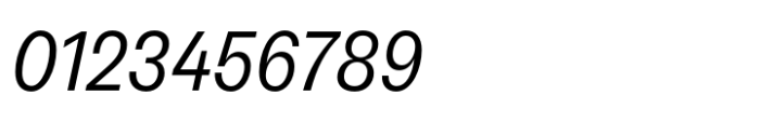 Neue Rational Narrow Regular Italic Font OTHER CHARS