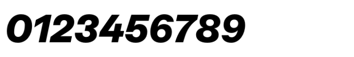 Neue Rational Standard Black Italic Font OTHER CHARS