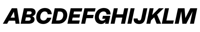 Neue Rational Standard Black Italic Font UPPERCASE