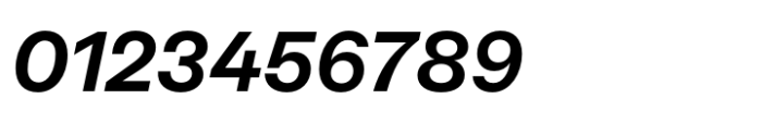 Neue Rational Standard Bold Italic Font OTHER CHARS