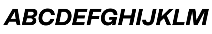 Neue Rational Standard ExtraBold Italic Font UPPERCASE