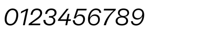 Neue Rational Standard Regular Italic Font OTHER CHARS