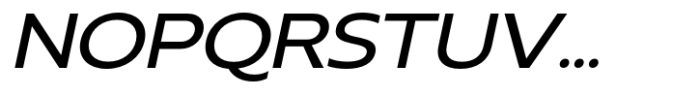 Neue Reman Gt Medium Expanded Italic Font UPPERCASE