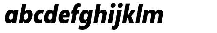 Neue Reman Sans Bold Condensed Italic Font LOWERCASE