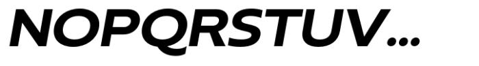 Neue Reman Sans Bold Expanded Italic Font UPPERCASE