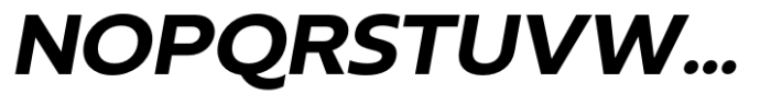 Neue Reman Sans Bold Semi Expanded Italic Font UPPERCASE