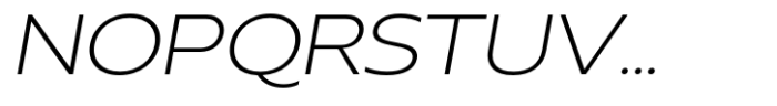 Neue Reman Sans Light Expanded Italic Font UPPERCASE