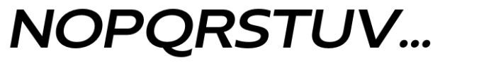 Neue Reman Sans Semi Bold Expanded Italic Font UPPERCASE